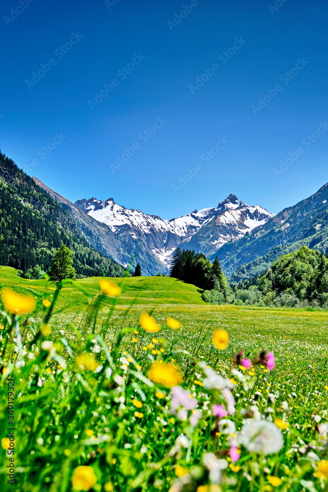 MONTAGNE