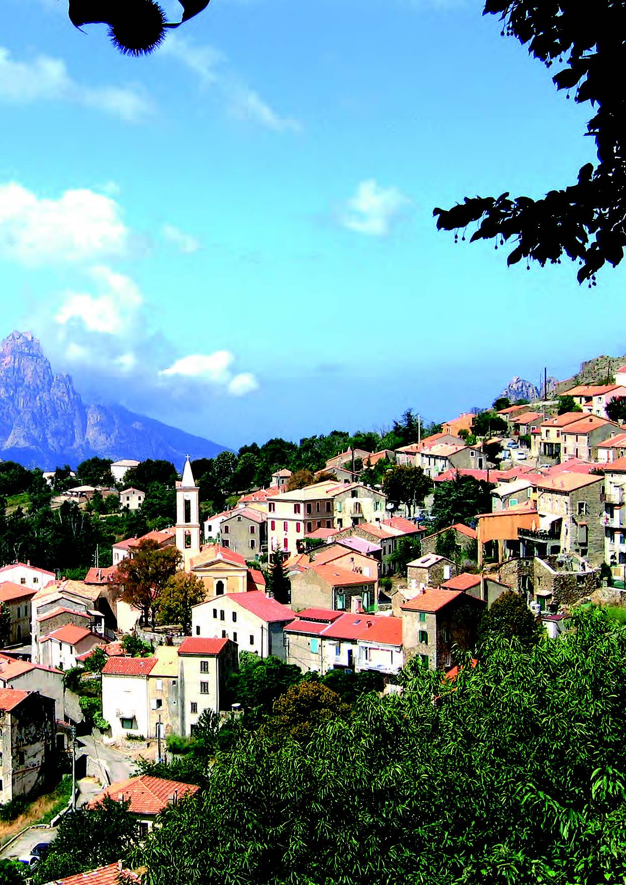 SUD